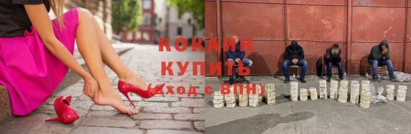 индика Абинск