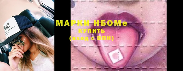 индика Абинск