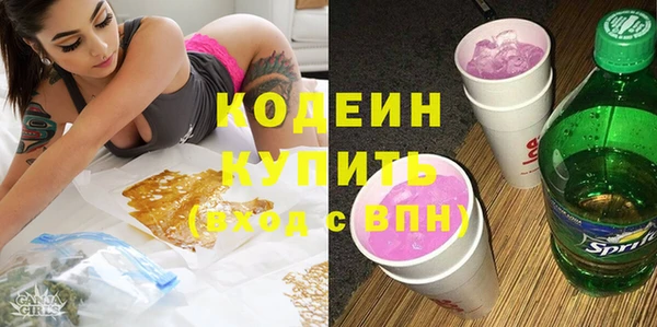 индика Абинск