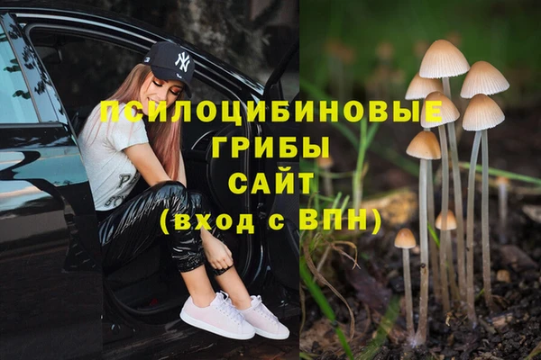 МДПВ Абдулино