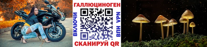 Галлюциногенные грибы GOLDEN TEACHER Дивногорск